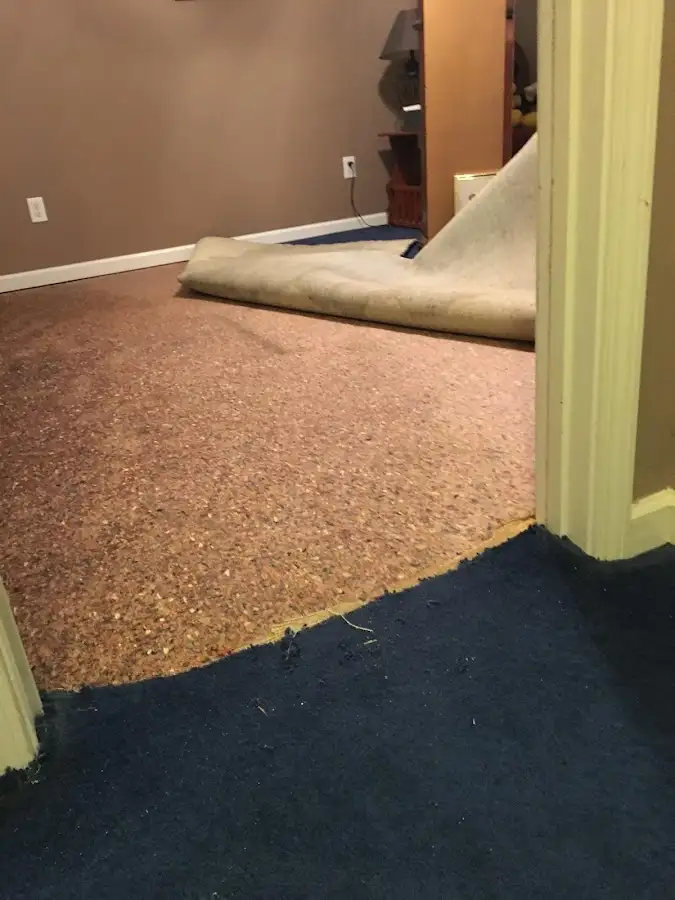 Carpet pad removal revealing water damage during Drying & Dehumidification in Sunnyside