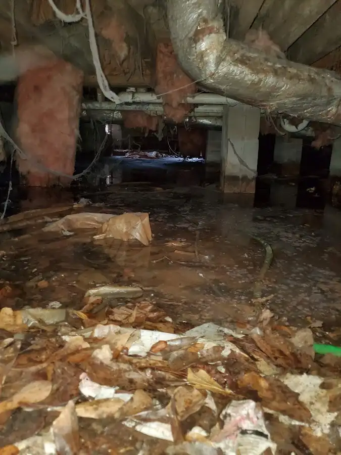 Crawl space flood assessment for Leak Detection & Repair in Sunnyside