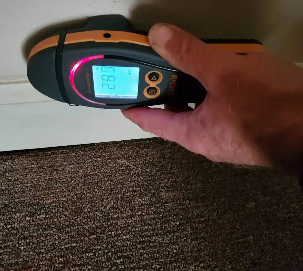 Moisture detection at baseboard during Burst Pipe Cleanup in Sunnyside